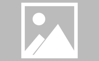 南平新区景区网站建设（in art criticism,you must assume）